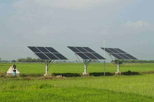 Switch to Solar Power and Enjoy Clean, Renewable Energy